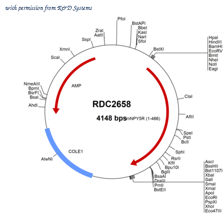 R&D Systems RDC2658 image 1