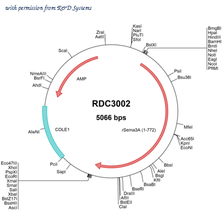 R&D Systems RDC3002 image 1