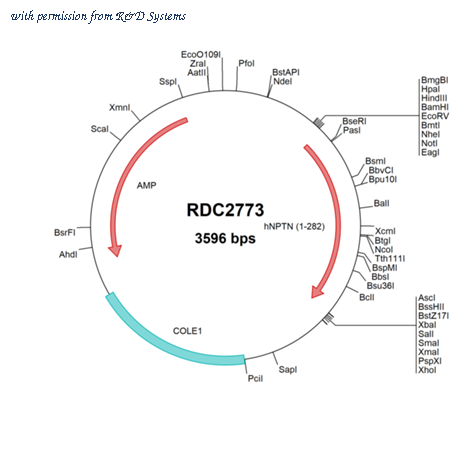 R&D Systems RDC2773 image 1