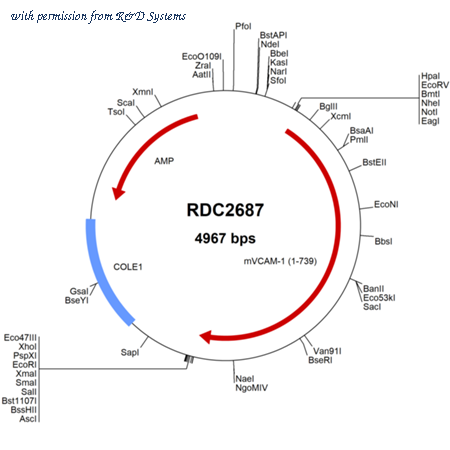 R&D Systems RDC2687 image 1