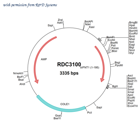 R&D Systems RDC3100 image 1