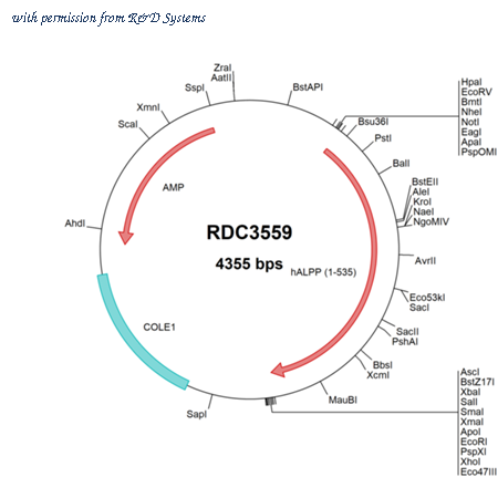 R&D Systems RDC3559 image 1