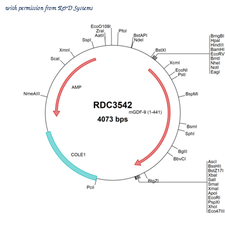 R&D Systems RDC3542 image 1
