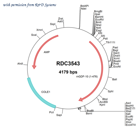 R&D Systems RDC3543 image 1