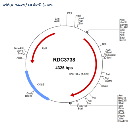 R&D Systems RDC3738 image 1