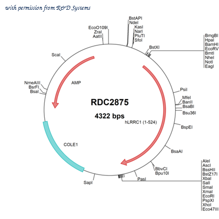 R&D Systems RDC2875 image 1