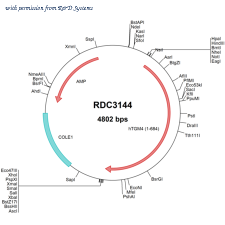 R&D Systems RDC3144 image 1