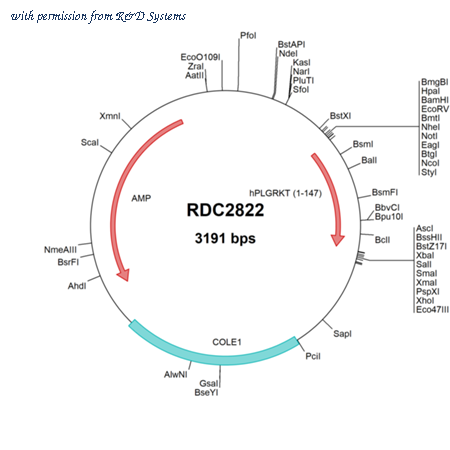 R&D Systems RDC2822 image 1