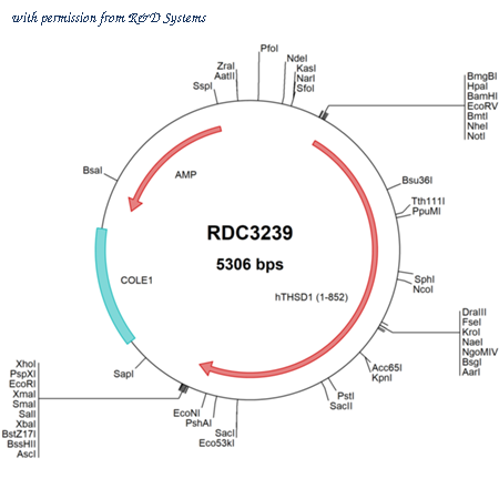 R&D Systems RDC3239 image 1