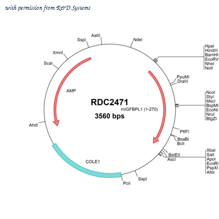 R&D Systems RDC2471 image 1