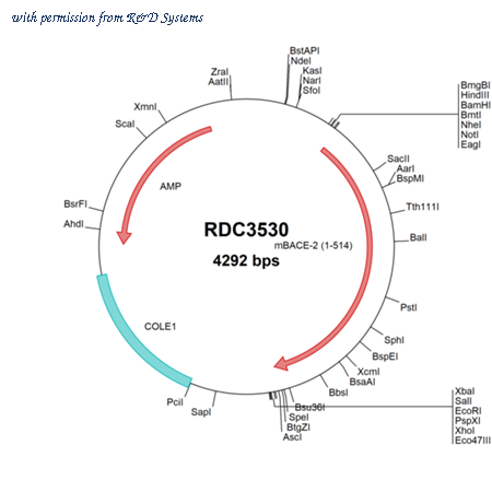 R&D Systems RDC3530 image 1