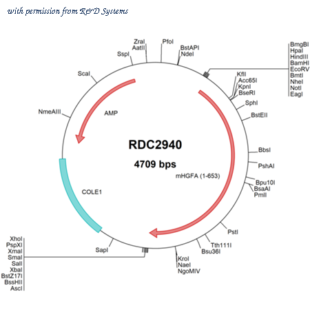 R&D Systems RDC2940 image 1