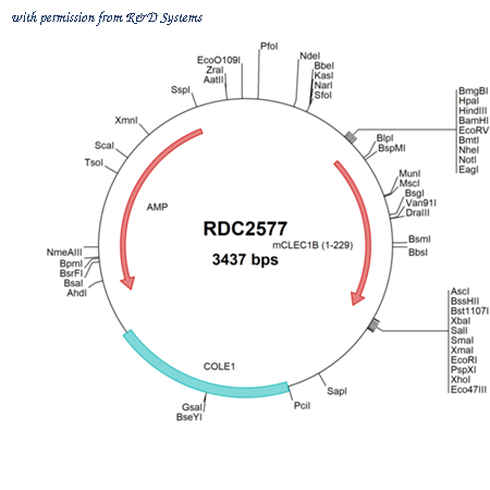 R&D Systems RDC2577 image 1