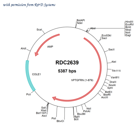 R&D Systems RDC2639 image 1