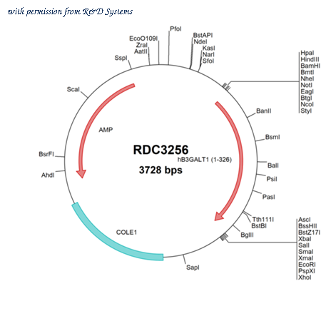 R&D Systems RDC3256 image 1