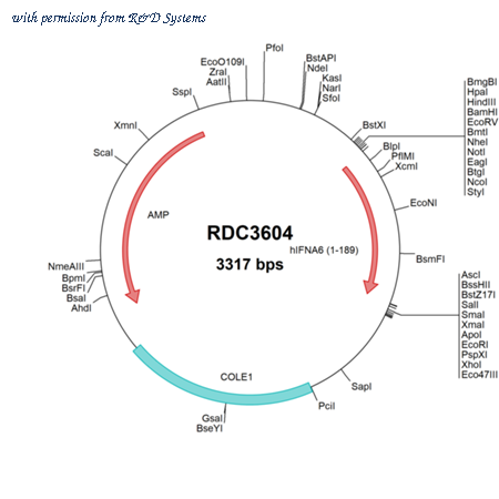 R&D Systems RDC3604 image 1