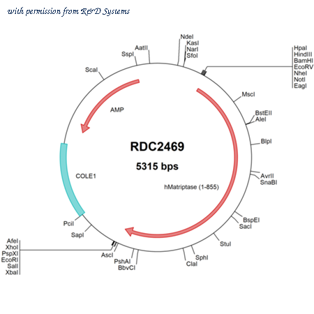 R&D Systems RDC2469 image 1