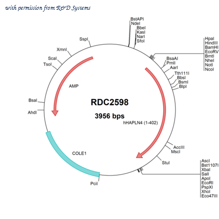 R&D Systems RDC2598 image 1
