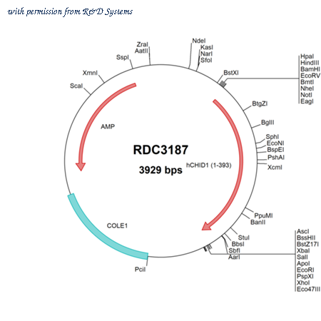 R&D Systems RDC3187 image 1