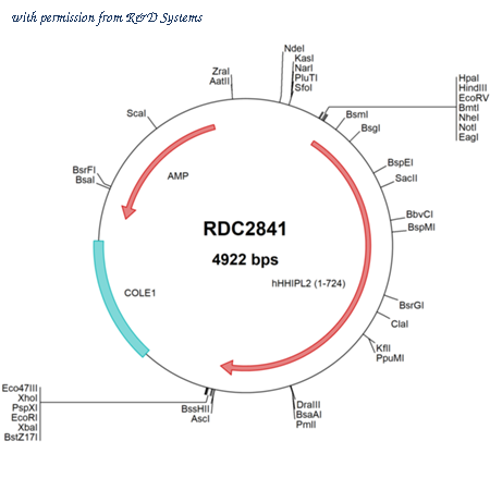 R&D Systems RDC2841 image 1