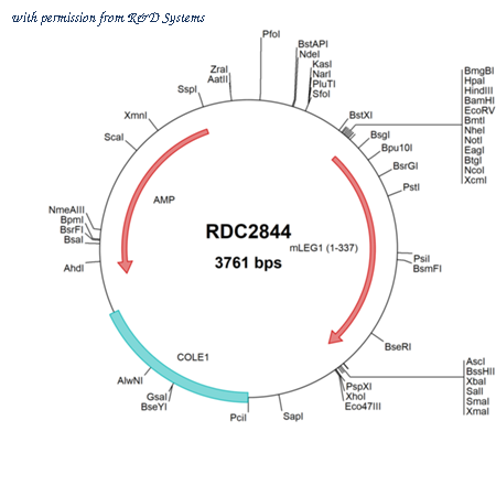 R&D Systems RDC2844 image 1