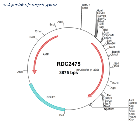 R&D Systems RDC2475 image 1