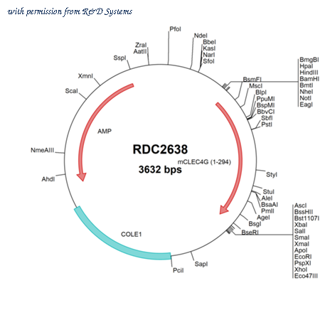 R&D Systems RDC2638 image 1