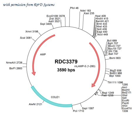 R&D Systems RDC3379 image 1