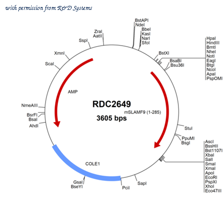 R&D Systems RDC2649 image 1