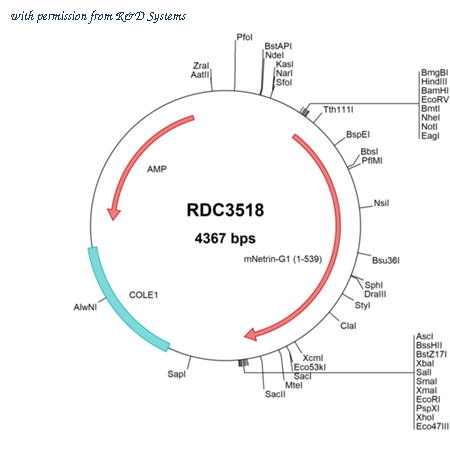 R&D Systems RDC3518 image 1