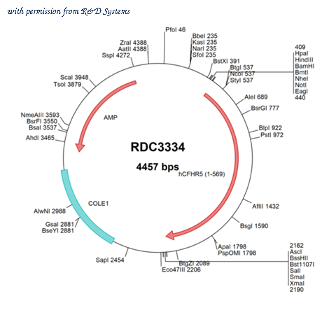 R&D Systems RDC3334 image 1
