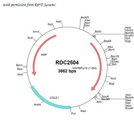 R&D Systems RDC2504 image 1