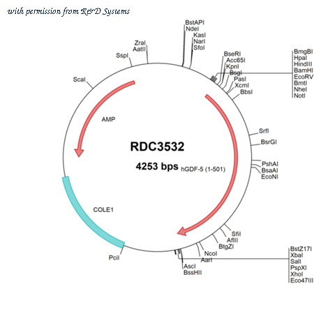 R&D Systems RDC3532 image 1