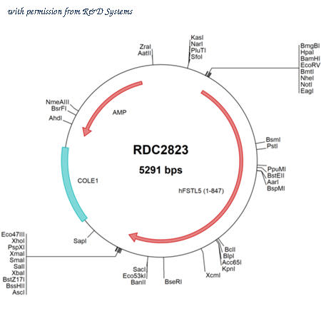 R&D Systems RDC2823 image 1