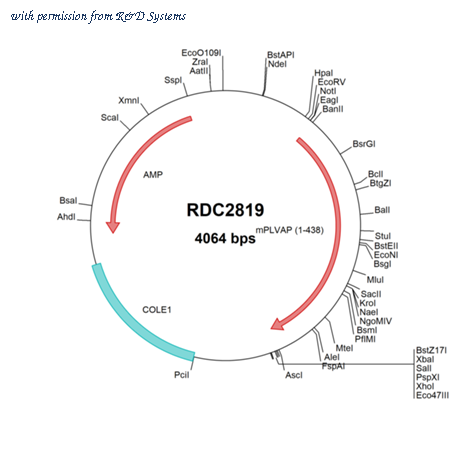 R&D Systems RDC2819 image 1
