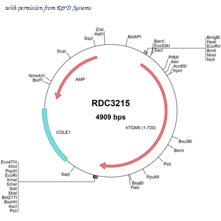 R&D Systems RDC3215 image 1