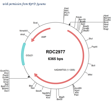 R&D Systems RDC2977 image 1