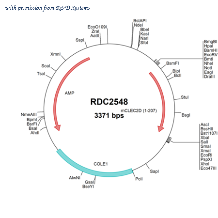 R&D Systems RDC2548 image 1