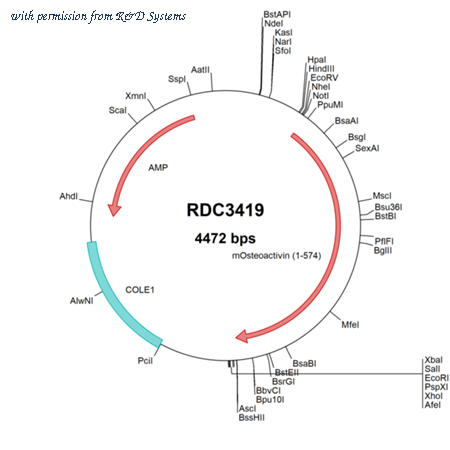 R&D Systems RDC3419 image 1