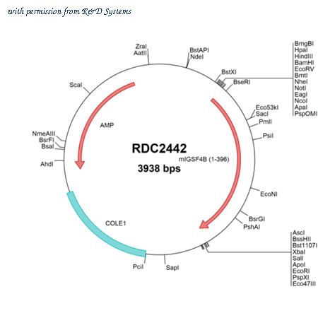R&D Systems RDC2442 image 1