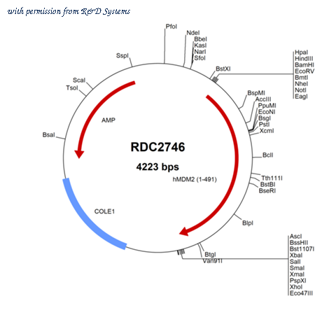 R&D Systems RDC2746 image 1