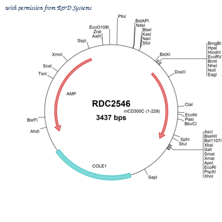 R&D Systems RDC2546 image 1