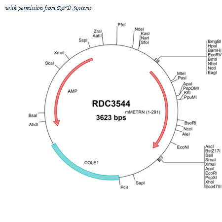 R&D Systems RDC3544 image 1