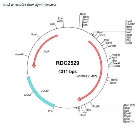 R&D Systems RDC2529 image 1