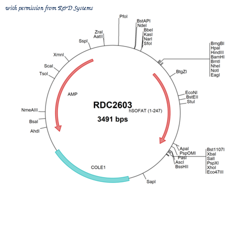 R&D Systems RDC2603 image 1