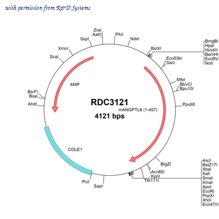 R&D Systems RDC3121 image 1