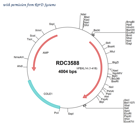 R&D Systems RDC3588 image 1