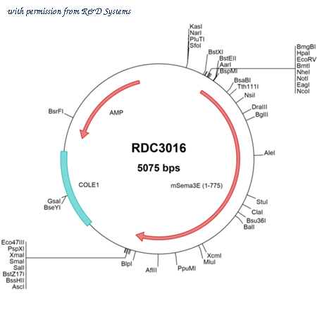 R&D Systems RDC3016 image 1