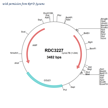 R&D Systems RDC3227 image 1