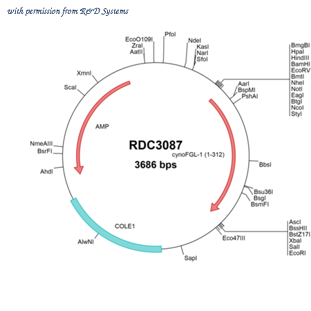 R&D Systems RDC3087 image 1